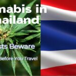 Cannabis in Thailand 2025