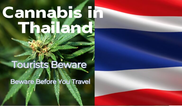 Cannabis in Thailand 2025