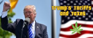 Read more about the article Trump’s Tariffs and Taxes: How They Impact U.S. Cannabis Production