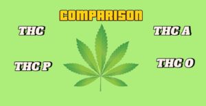Read more about the article Comparison of various kind THC Common Uses and Effects