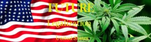Read more about the article The Future of Cannabis Legalization in the United States: What’s Next?