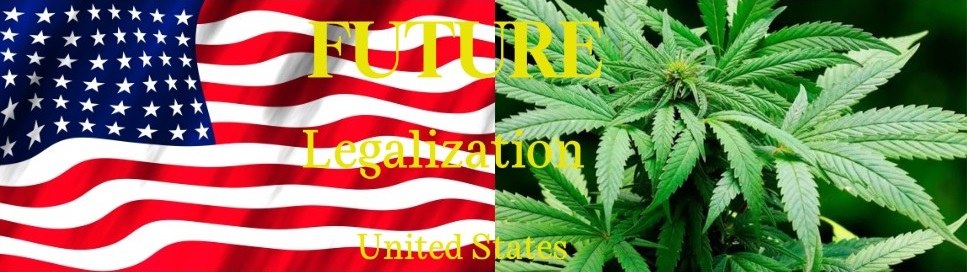 You are currently viewing The Future of Cannabis Legalization in the United States: What’s Next?